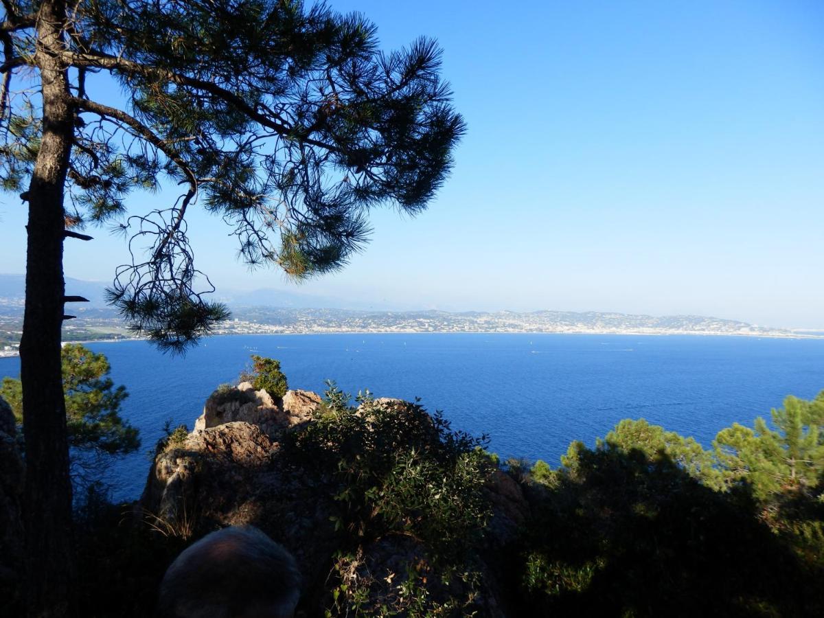Esterel Terrasses, Roof Top, Plage, Parking Payant Cannes Bagian luar foto