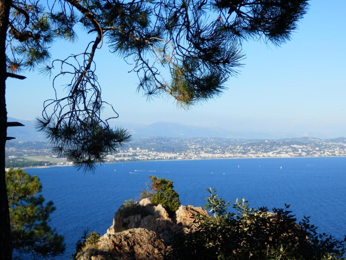 Esterel Terrasses, Roof Top, Plage, Parking Payant Cannes Bagian luar foto