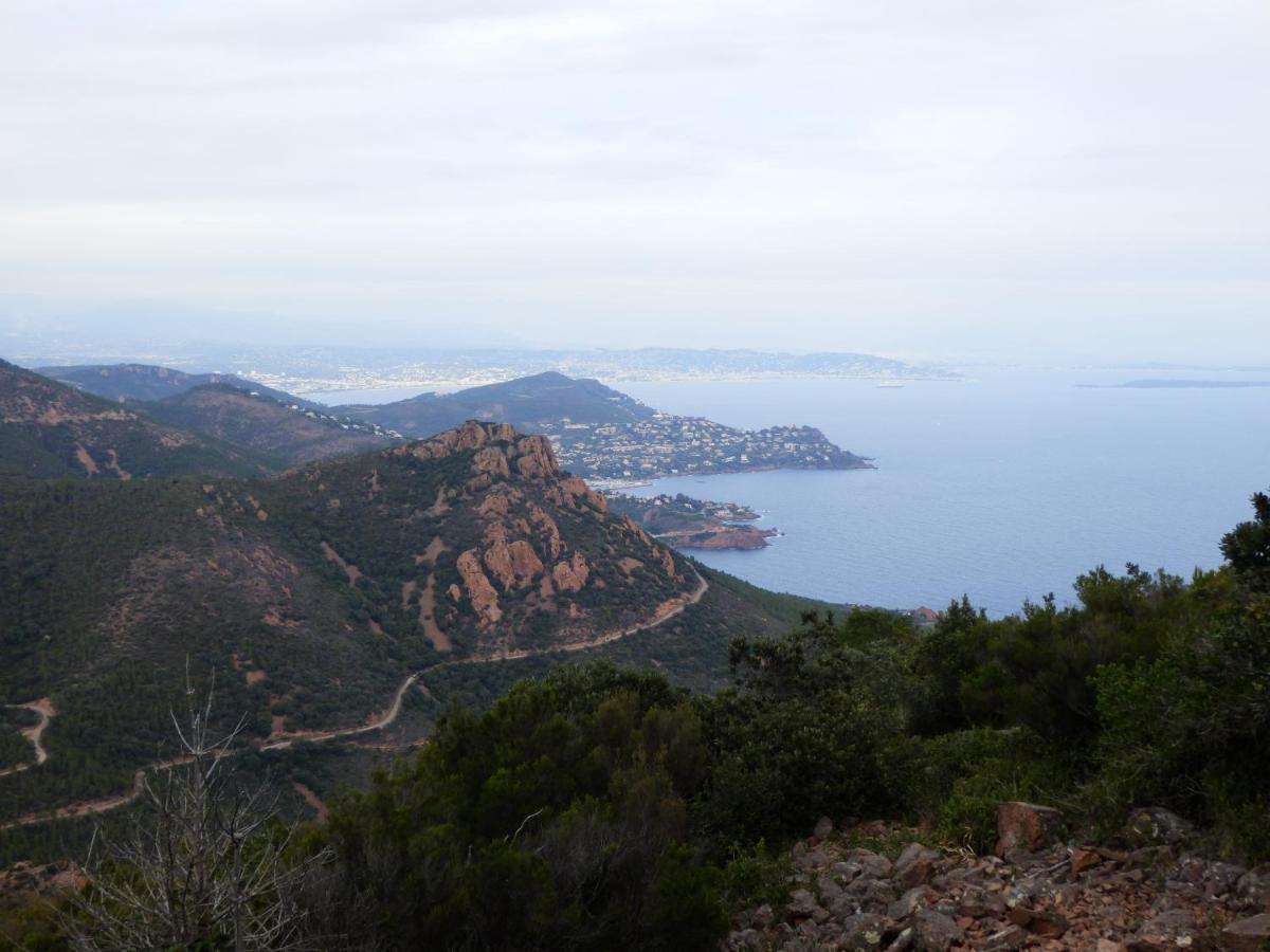 Esterel Terrasses, Roof Top, Plage, Parking Payant Cannes Bagian luar foto
