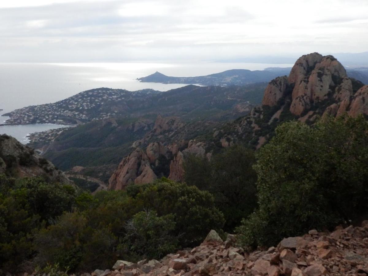 Esterel Terrasses, Roof Top, Plage, Parking Payant Cannes Bagian luar foto